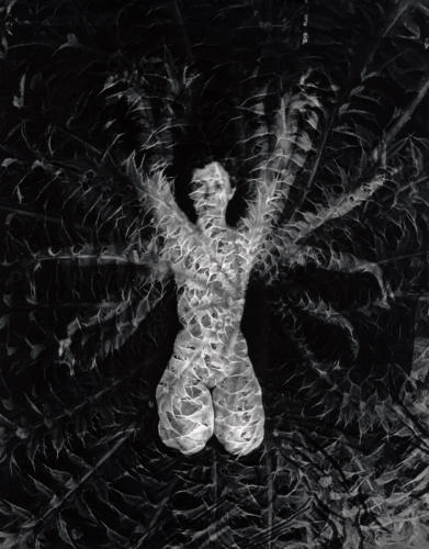 Nude Superimposed with Thistle, black and white, silver gelatin print